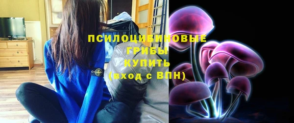 экстази Алексин