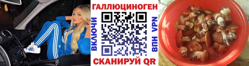 Галлюциногенные грибы Psilocybine cubensis  Курлово 